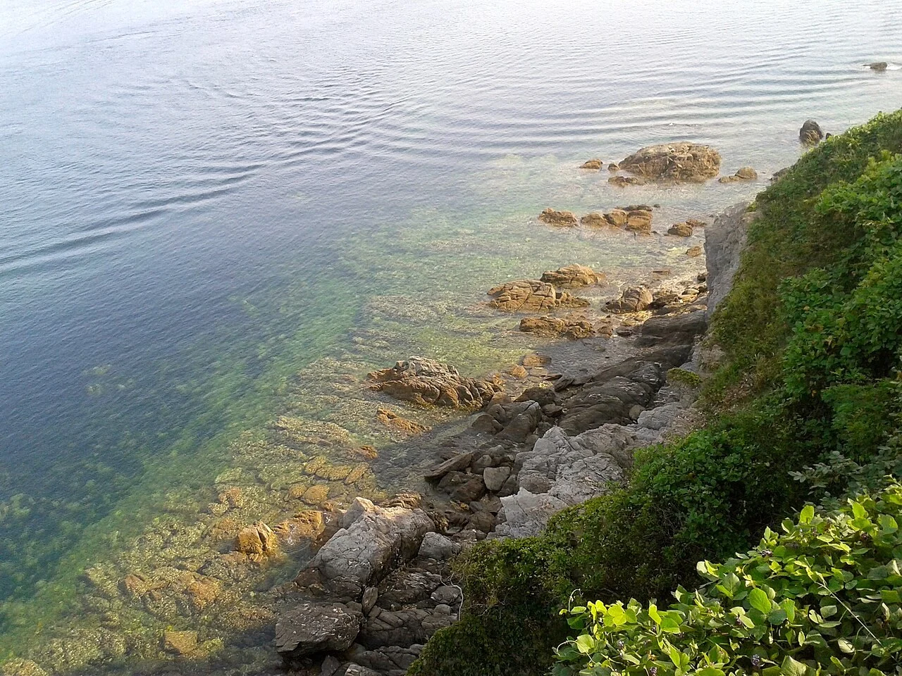 小水口森林公园实景