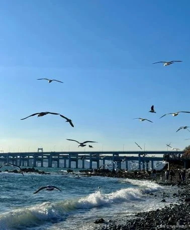 银沙滩海岸资料照片